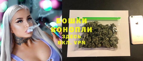 ешки Бородино