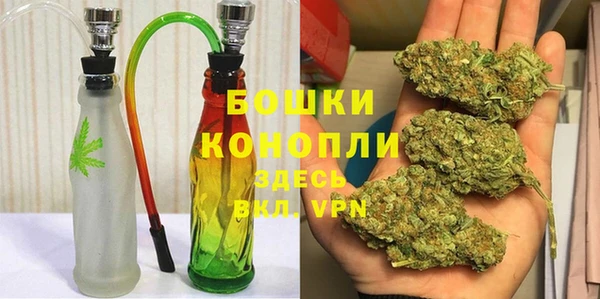 гидра Вязники
