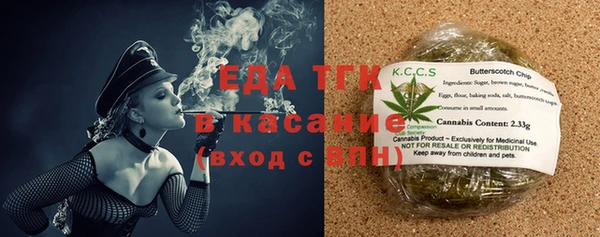 ешки Бородино