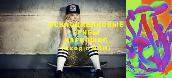 бошки Бронницы