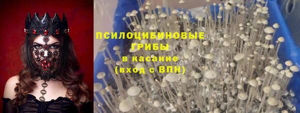 прущая мука Богданович