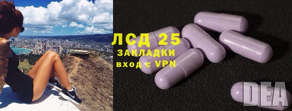 дмт Богородицк