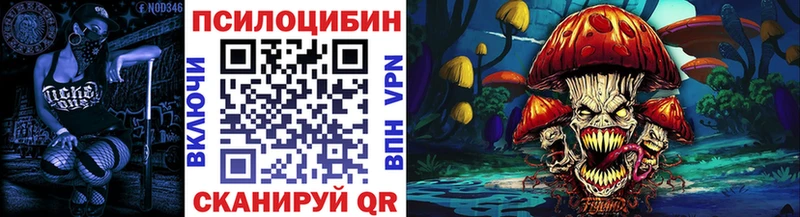 ОМГ ОМГ ссылка  Кондрово  Псилоцибиновые грибы Magic Shrooms  где купить  